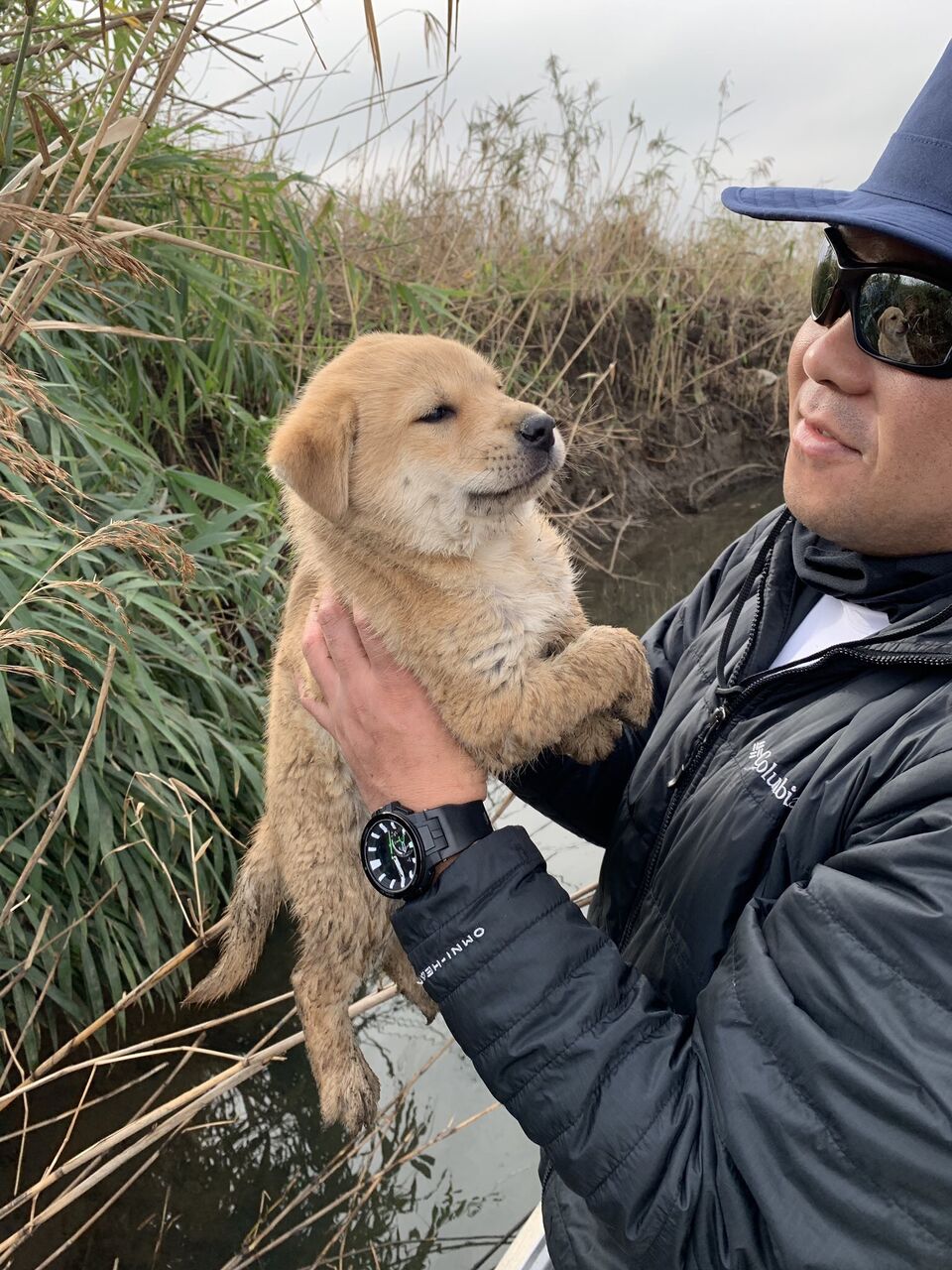 悲報 イッヌ 川に捨てられる まとめ犬 悲報 イッヌ 川に捨てられる まとめ犬