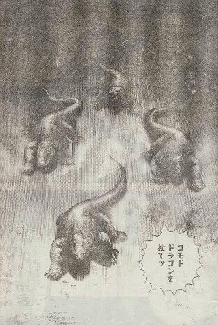 コモドドラゴン 時速km 大したことないやんけ 三日三晩休まずに追いかける こわい バックパッカーまとめ コモドドラゴン 時速km 大したことないやんけ 三日三晩休まずに追いかける こわい バックパッカーまとめ