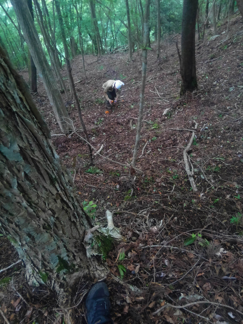 ワイルドな漢になりたくて カメ五郎さんとヒル食いに山行ってきたバカだけど 前編 バックパッカーまとめ