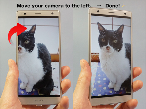 MoveYourCameraLeft