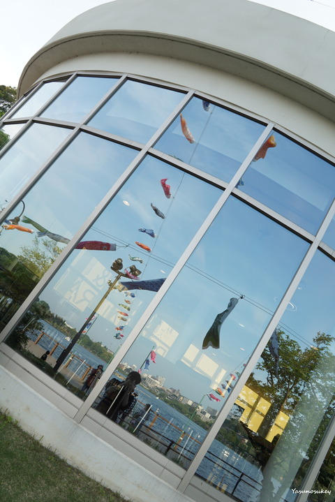 180422ReflectionOfCarpstreamers