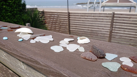 200626XperiaXZ2Seashells