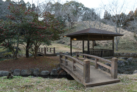 200212AyumizakiPark2