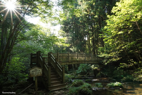 滝川渓谷秋Bridge