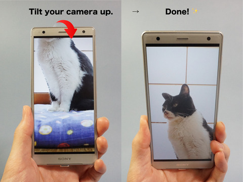 TiltYourCameraUp