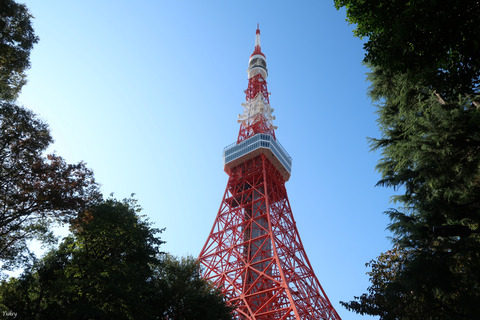 191110PSG7XM2TokyoTowerFromShiba