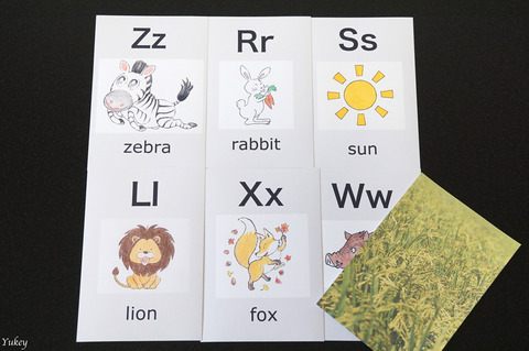 230828PhonicsCards