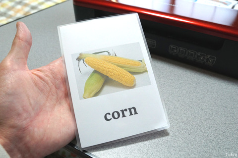 210119HSL-A44-RLaminatedCorn
