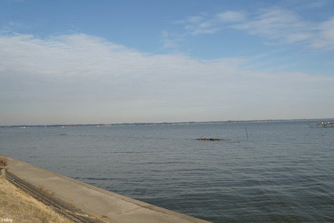 200212LakeKasumigauraA6000_1