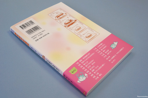 ある日突然慢性疲労症候群になりました裏表紙青