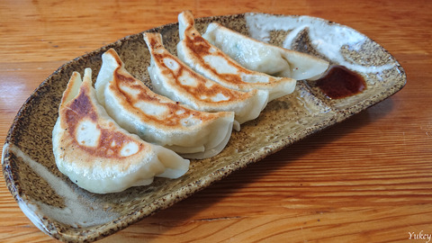 210606XperiaXZ2Dumplings