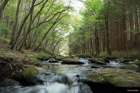 滝川渓谷秋Upstream