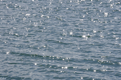 240322α6400KujiRiver_Surface