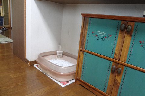 Sora's Litter Box