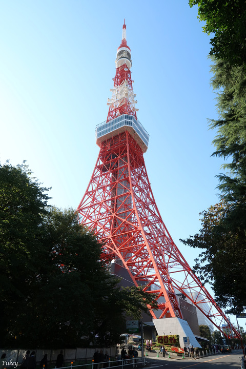 191110TokyoTowerVirticalPSG7XM2