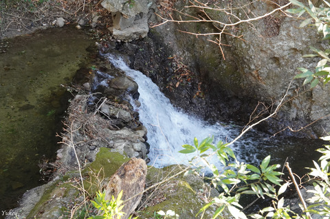 240127SmallRiverInHitachiota