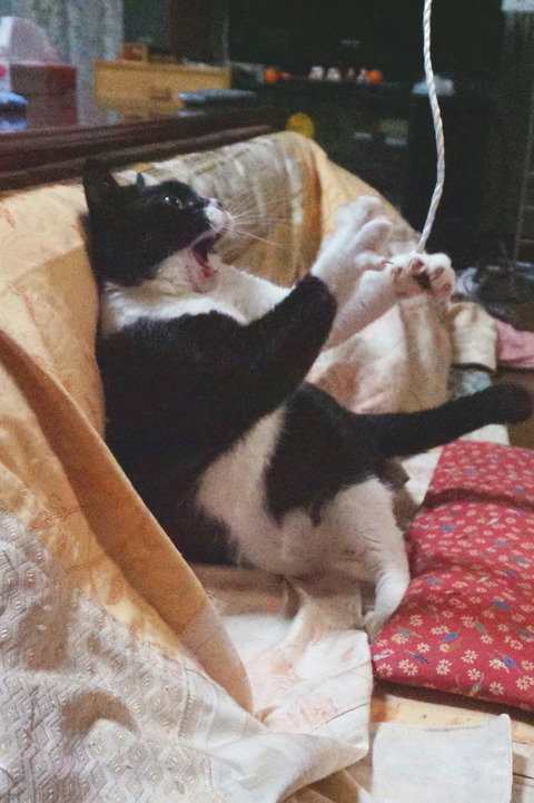 SoraPlayingWithAString