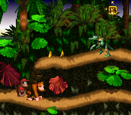 superdonkeykong002