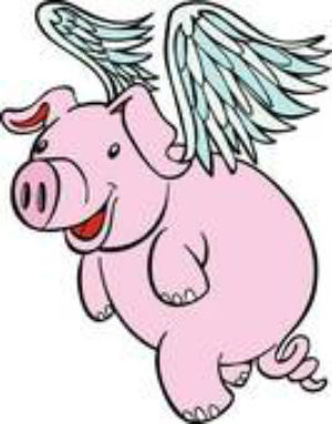 FlyingPig