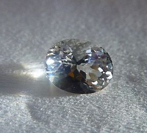 サニディン 我が家にルースブーム到来