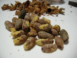 かやの実を食す 自家製酵母とベーグル らぼ