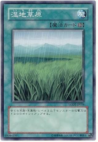 遊戯王 スライム増殖炉 この後滅茶苦茶デュエルした 遊戯王 スライム増殖炉 この後滅茶苦茶デュエルした