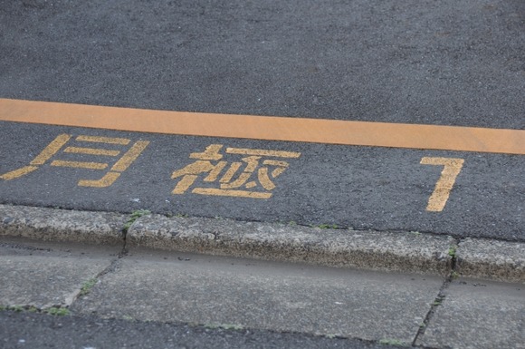 4567543_s