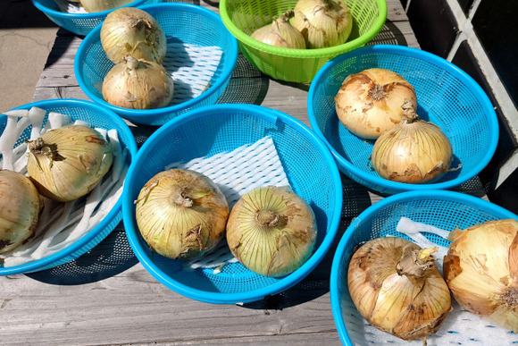 道の駅に野菜や果物出荷してるんやけど「こういうの欲しい」とかある？