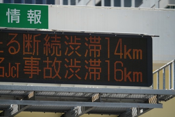 29925245_s