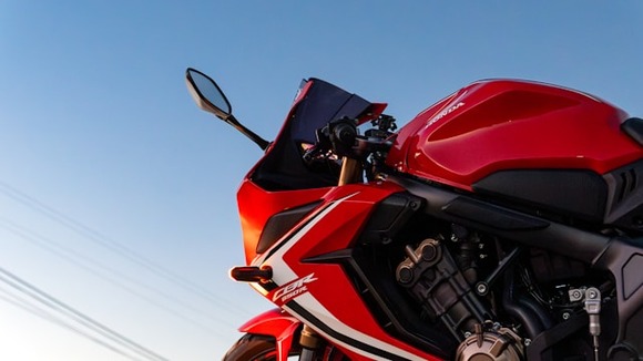 david-leonard-B5FzQxqQNnw-unsplash