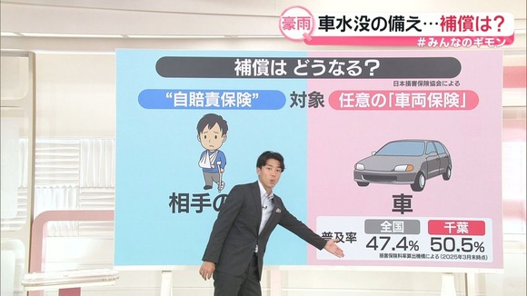 約半数の人が車両保険に入ってないんだけど何で？