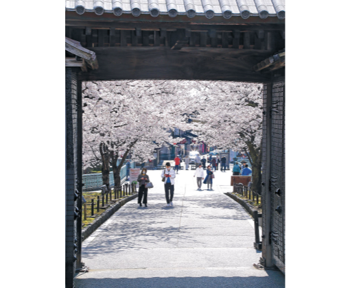 金沢、観光地の人通り少なく…江町市場は“例年の3分の1”