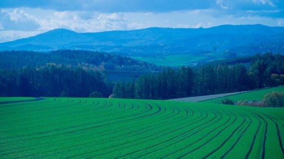 北海道ツーリング行くんだけどどこがおすすめ？