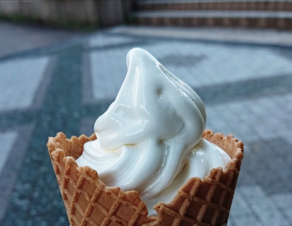 道の駅でソフトクリーム食べるバイク乗りｗｗｗｗｗｗｗ