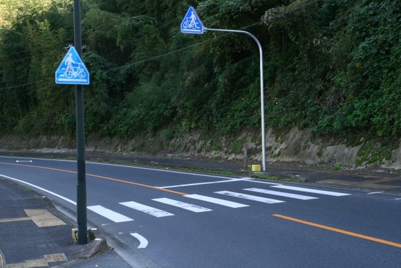 信号機のない横断歩道で車が一時停止しない理由…４割は「歩行者が道を渡るかわからない」