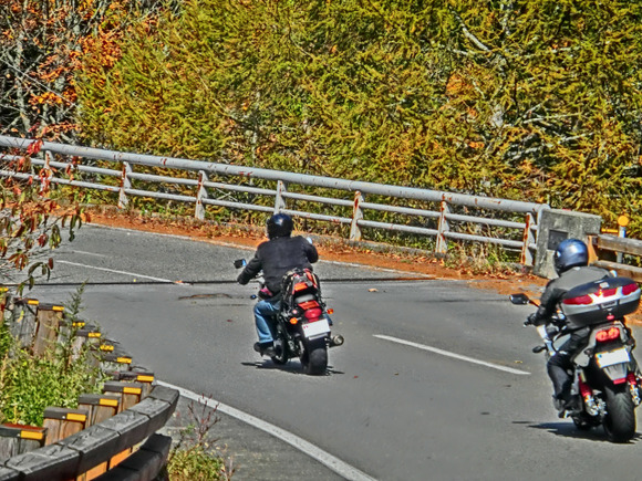 バイク乗りってなんであんなにマナー良いんだろうな