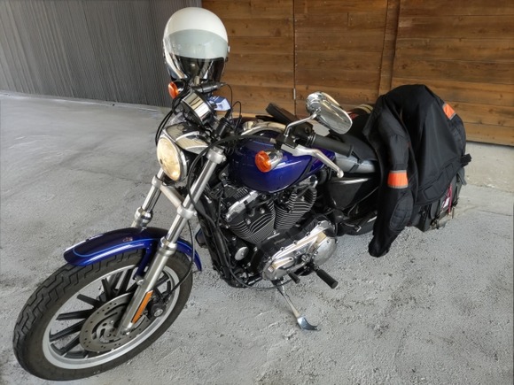 今度バイクが納車されるんだがプロテクターってガチで必要なのか？