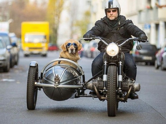 サイドカーつきのバイクに犬とか乗せて走るのに憧れる