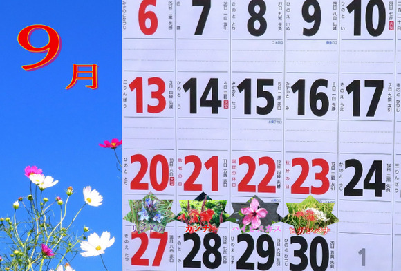せっかくの5連休なのにどこにも出かけない奴ｗｗｗｗｗｗｗ