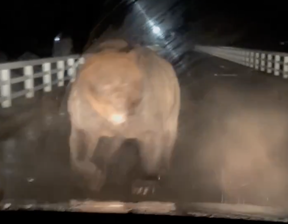 CleanShot 2025-11-07 at 22.29.59@2x