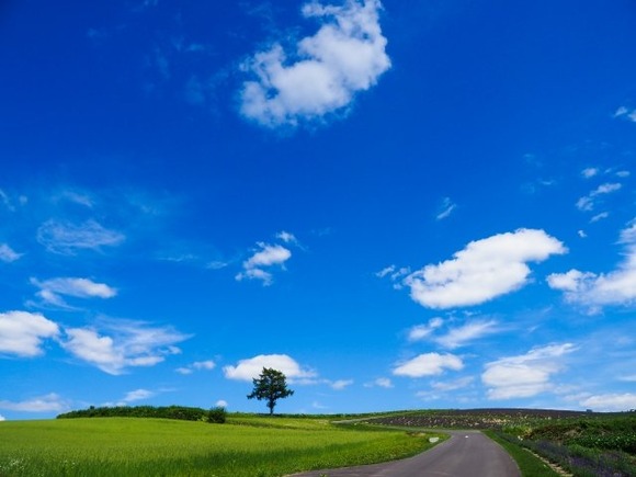 北海道をバイクで旅した事ない男って“浅い”んだよなあ...