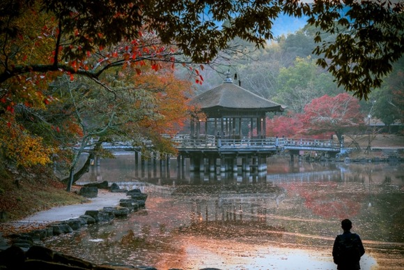 一人旅してる時の俺何してるんだろう感は異常ｗｗｗｗｗｗｗｗ