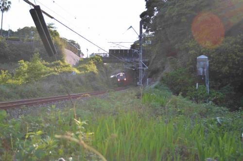d1957130.jpg