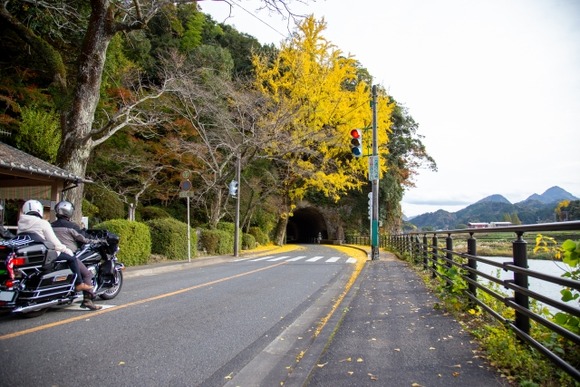 ワイの車、バックしてきたバイクにぶつけられる