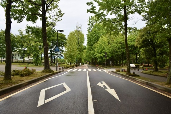 通勤時間帯に片側1車線で右折するクソバカｗｗｗｗｗｗ