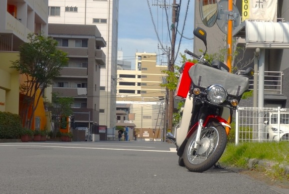29516696_s
