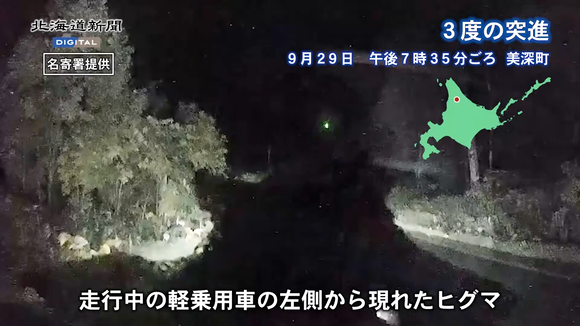 女さん、運転中にクマに突撃されて無事パニックへ「やばいやばいやばいやばい」