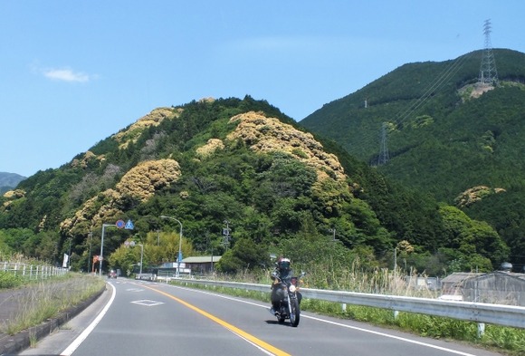 バイクって楽しいのになんで若年層は誰も乗らないんだ？