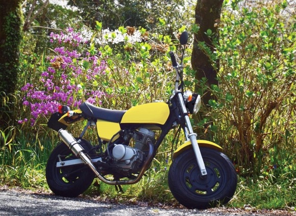 なんＧ民「でっかいバイク欲しい！でっかいバイク欲しい！」ワイ「原付でよくね」