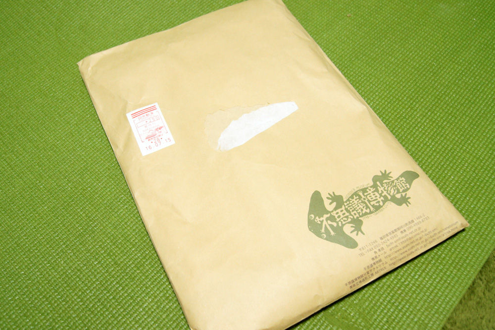 金魚解剖図部位解説付トートバッグ 上肢解剖no 37 尺骨動脈 人体解剖学など